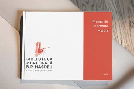 Manual_vizual